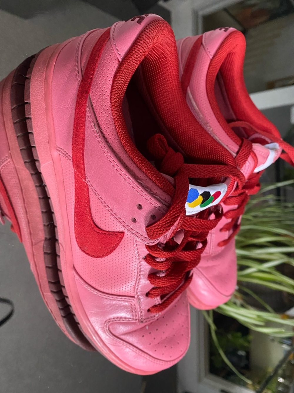 Nike Dunk Low Desert Bloom Pink Sneakers (Olympic Edition) 2008, Women’s 7.5